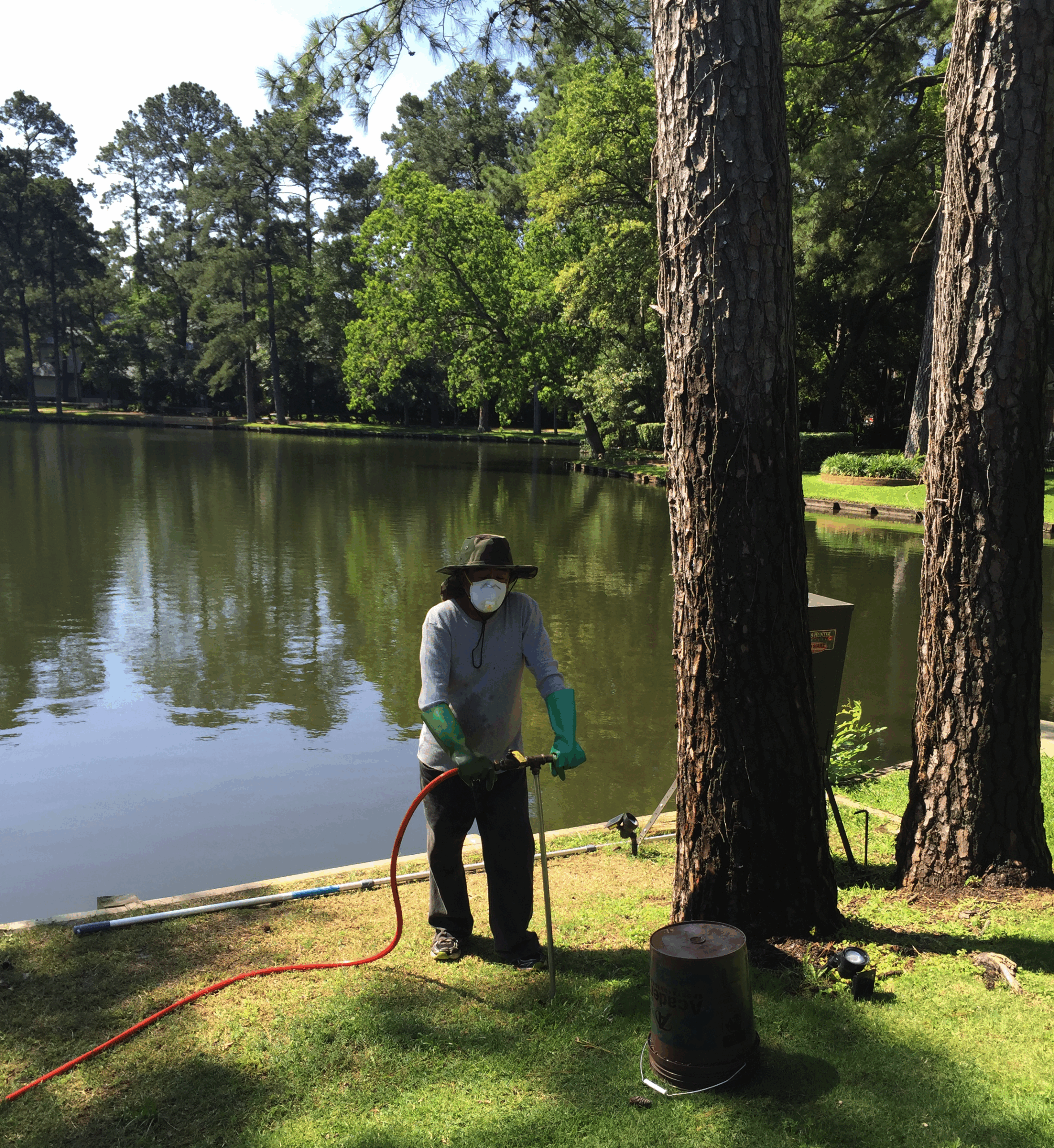 Tree Fertilizing