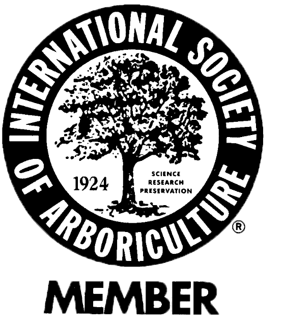 ISOA Member