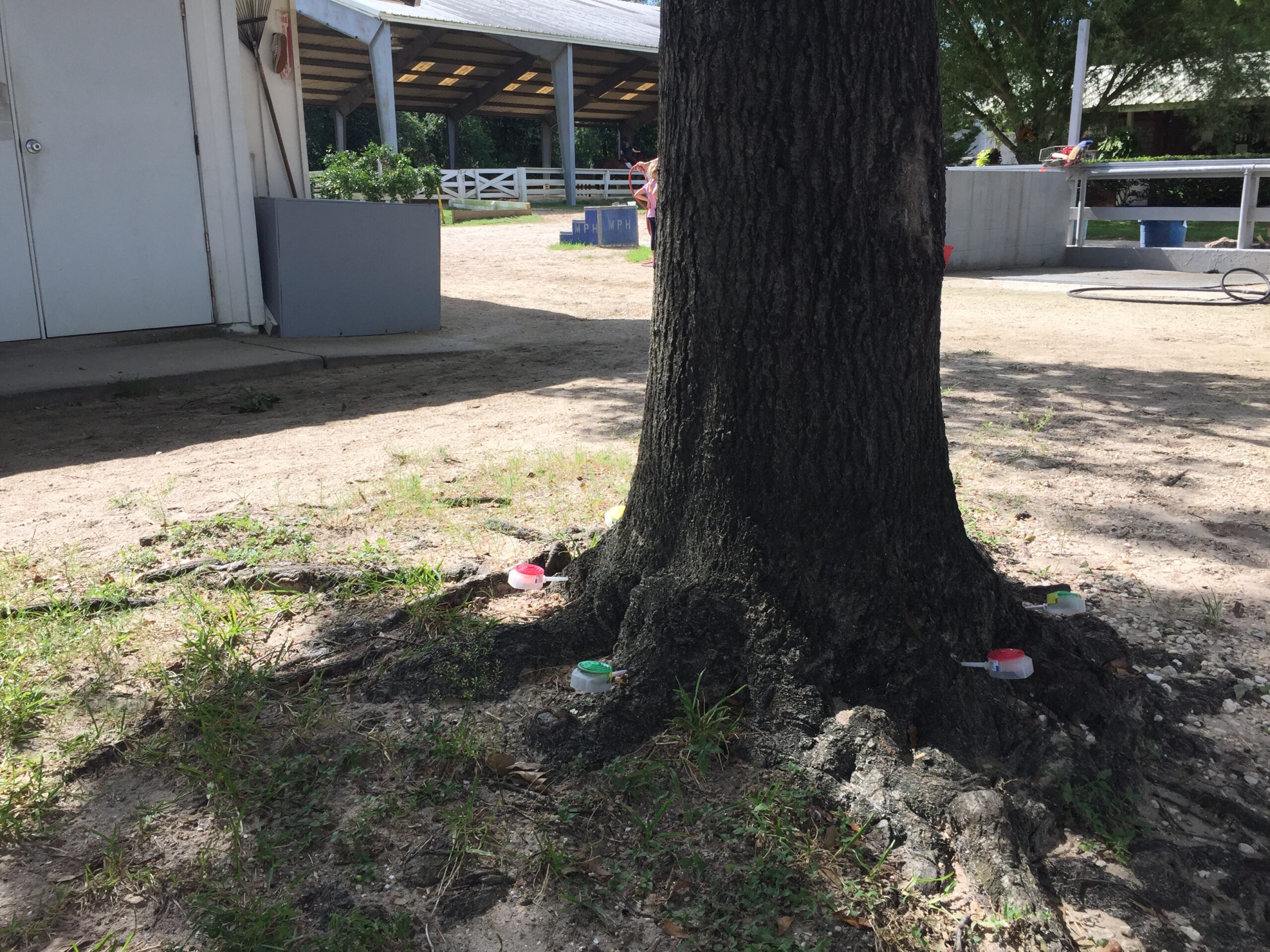 Houston Polo Club