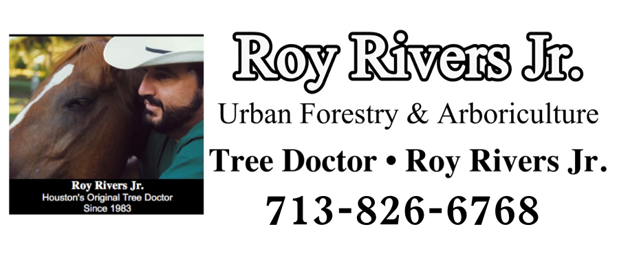 Roy Rivers Jr